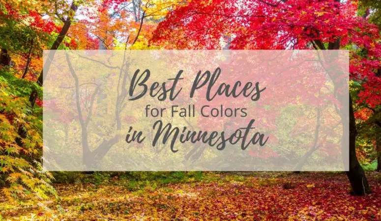 Best Places for Fall Colors in Minnesota