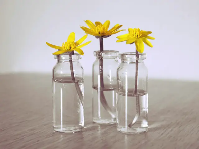 Repurposed jars