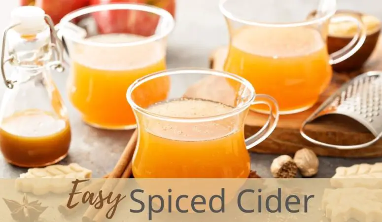Easy Spiced Cider Recipe