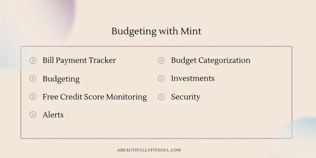 Budgeting with mint