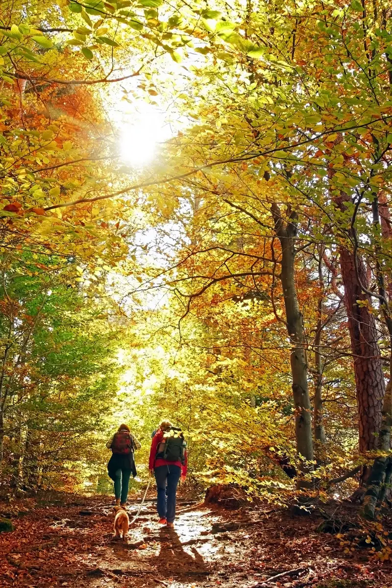 State Parks - Fun Things to do in the Fall
