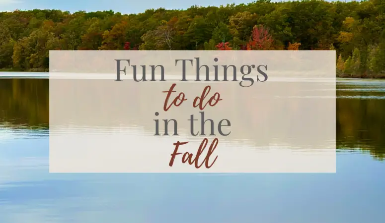 Fun Things to do in the Fall
