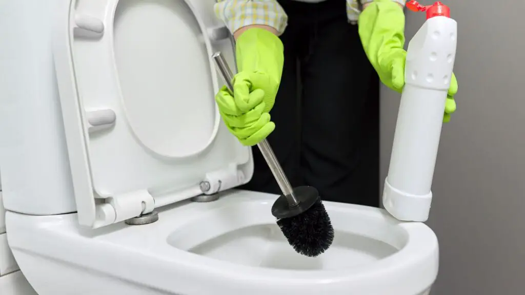 How to get rid of toilet ring - use bleach.