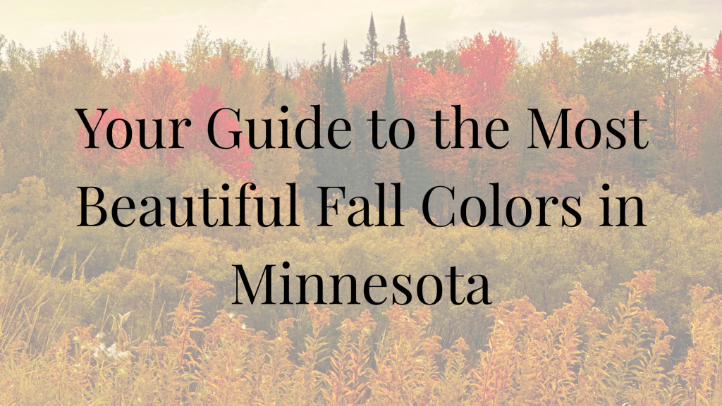 Fall Colors in Minnesota
