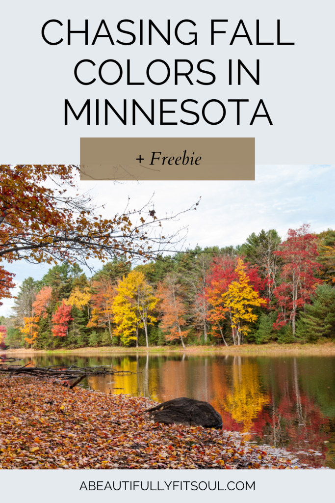 fall colors in Minnesota